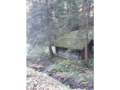 Apartment Appartement/Fewo Andrea - Outdoor photo 5