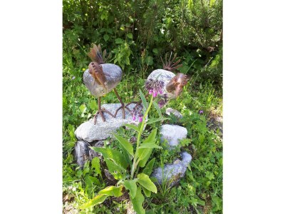 Apartment Appartement/Fewo Andrea - Outdoor photo 7