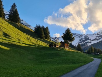 Apartment Appartement/Fewo Andrea - Outdoor photo 11