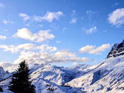 Apartment Appartement/Fewo Andrea - Outdoor photo 13