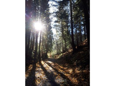 Apartment Appartement/Fewo Andrea - Outdoor photo 17