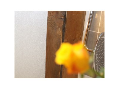 Apartment Mona - Features photo 21