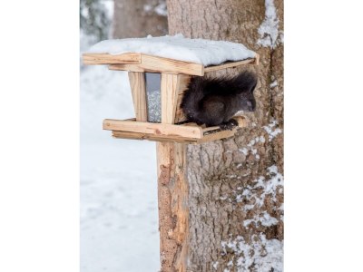 Holiday room Einzelzimmer - Outdoor photo 10