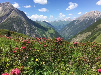 Apartment Ferienwohnung - Outdoor photo 11