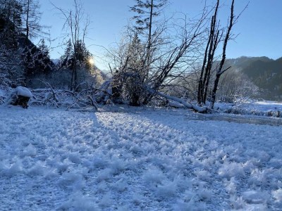 Apartment Ferienwohnung - Outdoor photo 24