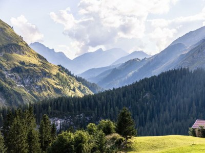Holiday room Doppelzimmer Kachelofen, Südbalkon - Outdoor photo 33