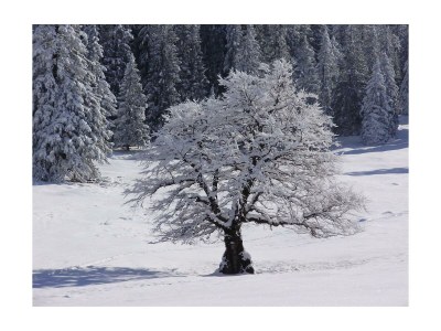 Holiday room Zimmer 3 - Outdoor photo 15