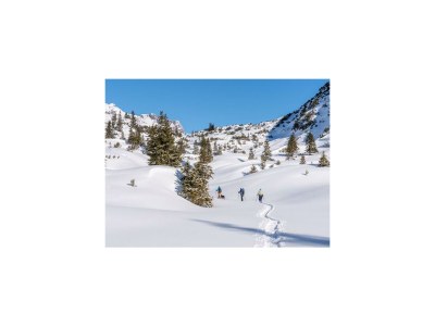 Apartment Ferienwohnung "Biberkopf" - Outdoor photo 49