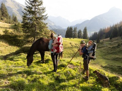 Holiday room Doppelzimmer Kachelofen - Outdoor photo 46