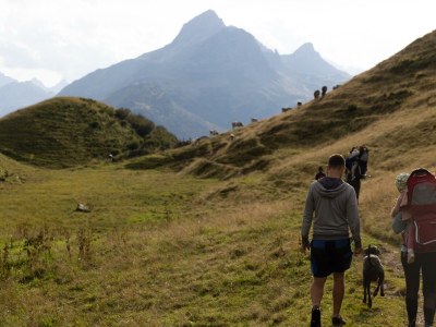 Apartment Ferienwohnung "Geißhorn" - Outdoor photo 36