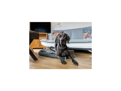 Apartment Ferienwohnung "Geißhorn" - Features photo 64