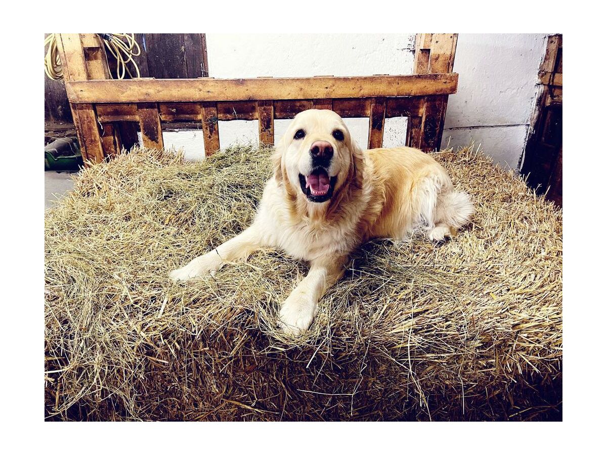 Apartment Zottlarhitta - Outdoor photo 2