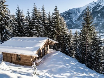 Apartment Kuschel Chalet - Features photo 46