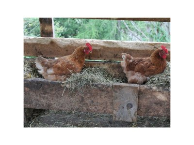 Apartment Jöchelspitze - Outdoor photo 6