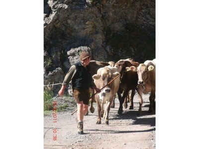 Apartment Jöchelspitze - Outdoor photo 12