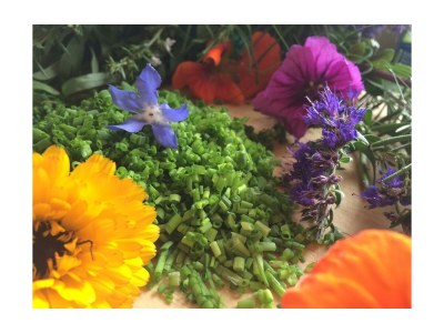 Apartment Appartement/Fewo - Outdoor photo 9