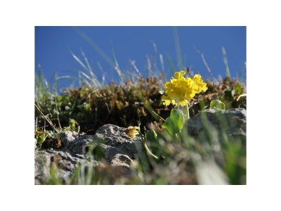 Apartment Appartement/Fewo - Outdoor photo 17