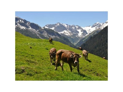 Apartment Appartement/Fewo - Outdoor photo 19