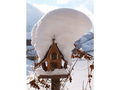 Apartment Appartement/Fewo - Outdoor photo 28