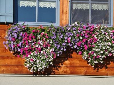 Apartment Appartement/Fewo - Outdoor photo 36