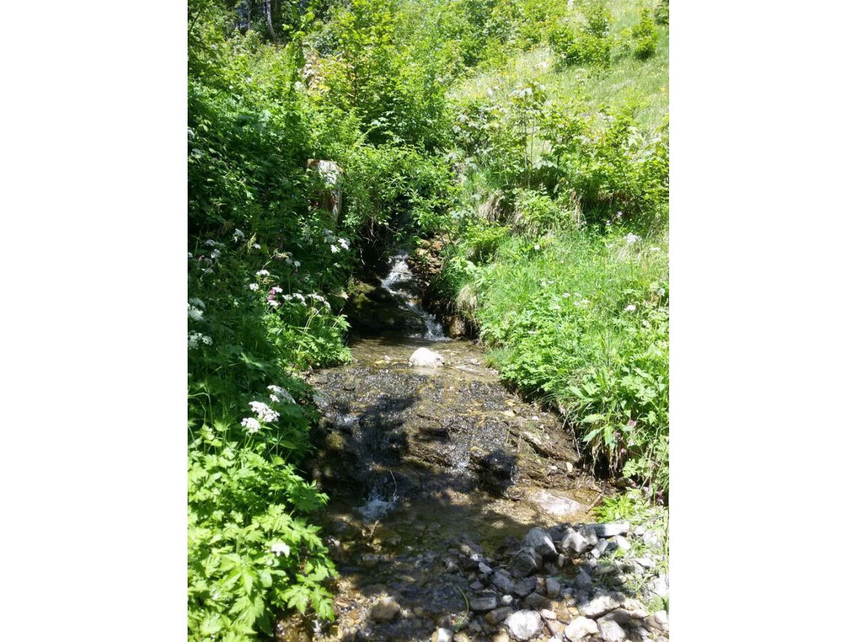 Apartment Appartement/Fewo, Dusche, WC, Balkon - Outdoor photo 2