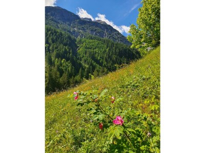 Apartment Appartement/Fewo, Dusche, WC, Balkon - Outdoor photo 13
