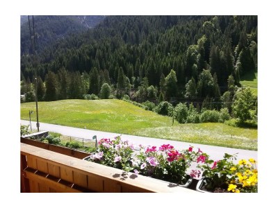 Apartment Appartement/Fewo, Dusche, WC, Balkon - Features photo 37