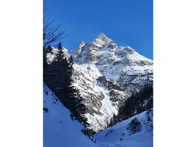 Holiday room Appartement/Fewo, Dusche, WC, 2 Schlafräume - Outdoor photo 9