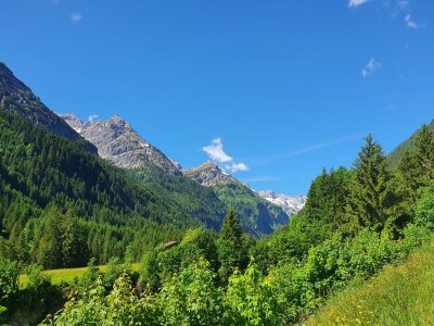 Holiday room Appartement/Fewo, Dusche, WC, 2 Schlafräume - Outdoor photo 11