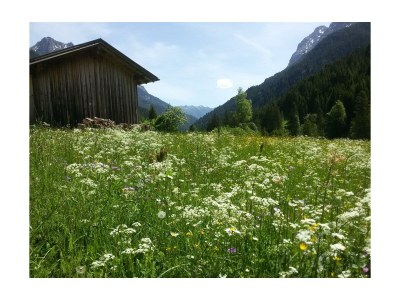 Holiday room Appartement/Fewo, Dusche, WC, 2 Schlafräume - Outdoor photo 22