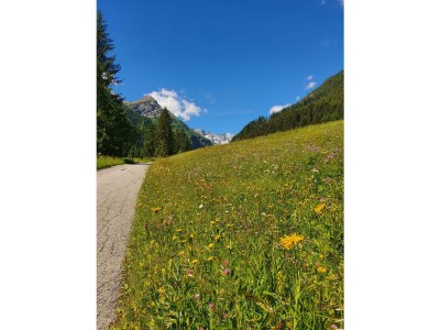 Holiday room Appartement/Fewo, Dusche, WC, 2 Schlafräume - Outdoor photo 28