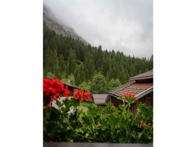 Apartment Fewo Dremelspitze - Features photo 14