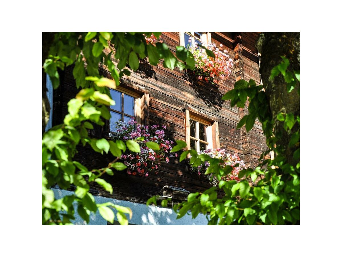 Apartment Berghütte / Ferienhaus - Outdoor photo 2