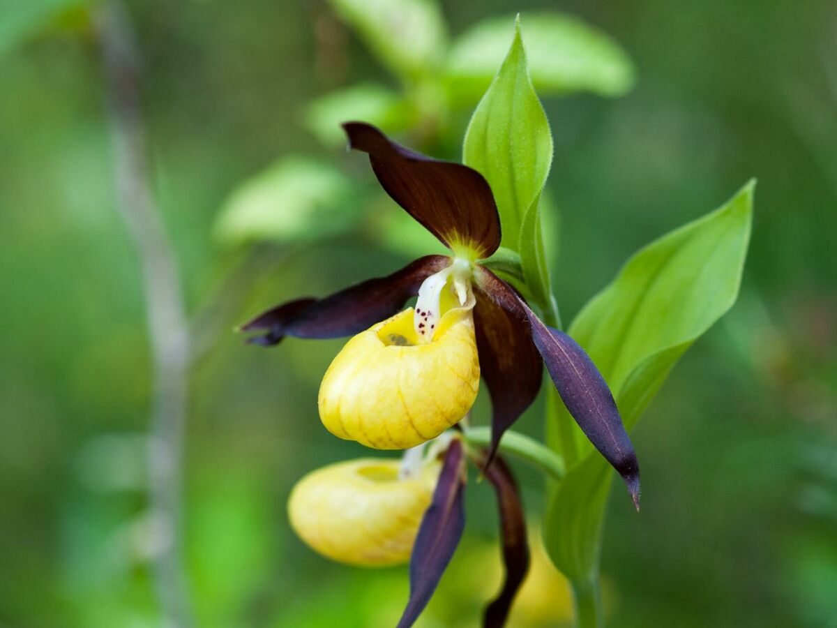 Holiday room Rote Wand - Outdoor photo 4