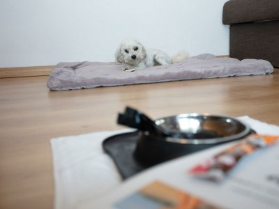 Holiday room Lechtal - Features photo 20