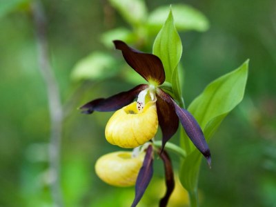 Holiday room Klimmspitze - Outdoor photo 4