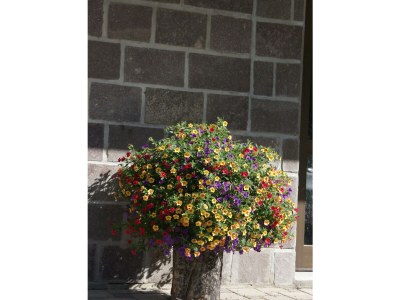 Apartment Freispitz - Outdoor photo 6