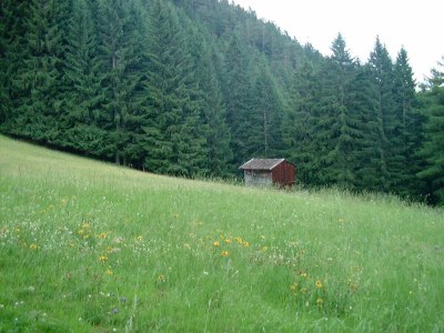 Apartment Freispitz - Outdoor photo 14