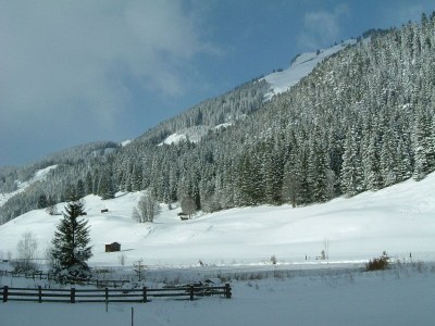 Apartment Freispitz - Outdoor photo 18