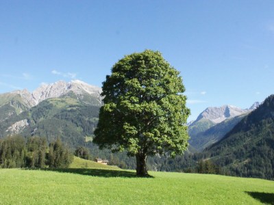 Apartment Freispitz - Outdoor photo 24