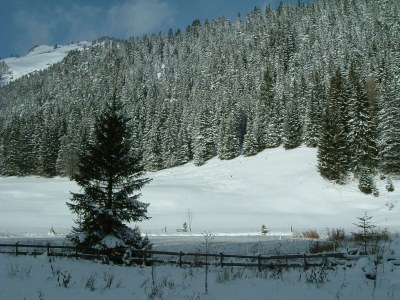 Apartment Freispitz - Outdoor photo 36