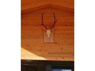 Apartment Appartement/Fewo, Dusche oder Bad, WC, Standard - Outdoor photo 9