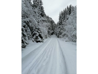 Apartment Appartement/Fewo, Dusche oder Bad, WC, Standard - Outdoor photo 15