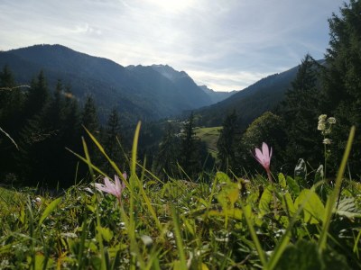 Apartment Appartement/Fewo, Dusche oder Bad, WC, Standard - Outdoor photo 18
