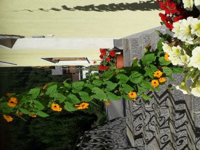 Holiday room Doppelzimmer Lechblick 4 - Outdoor photo 19