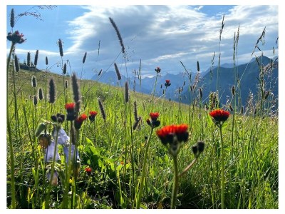 Holiday room Doppelbett Naturparkzimmer - Outdoor photo 8