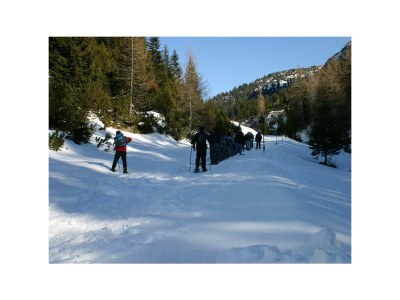 Holiday room Mehrbettzimmer, Dusche, WC, Balkon - Outdoor photo 32