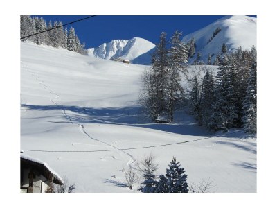 Holiday room Mehrbettzimmer, Dusche, WC, Balkon - Outdoor photo 40