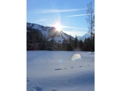 Holiday room Budget Doppelzimmer ohne Balkon - Outdoor photo 27