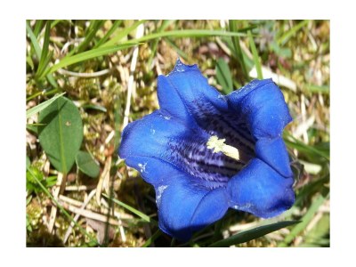 Holiday room Enzian - Features photo 26